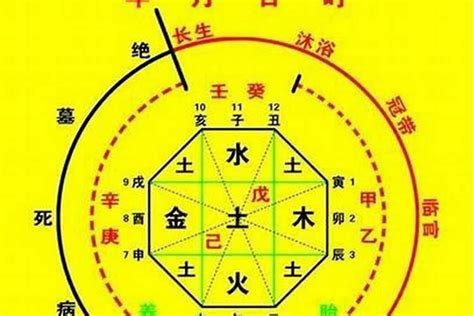 五行喜木火|八字中的五行火该如何理解 八字五行火旺的人忌讳什么